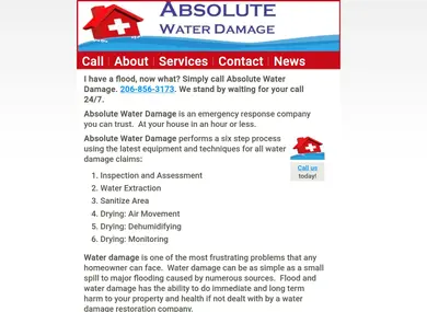 absolutewaterdamage.com